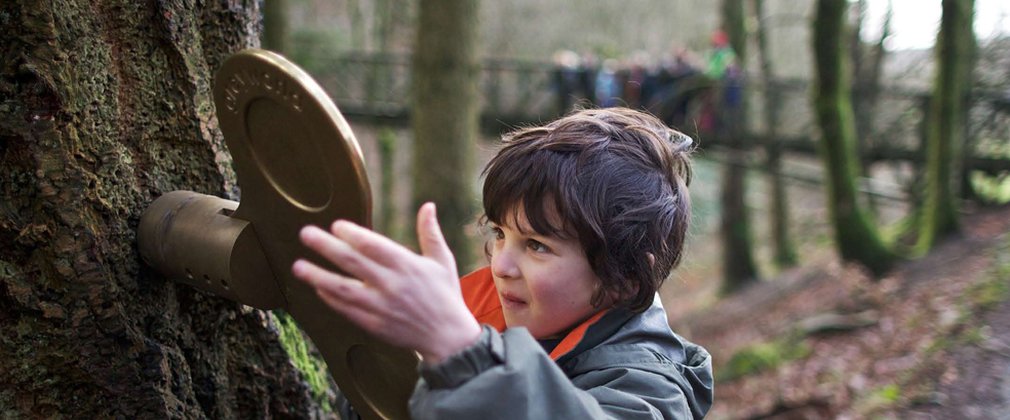 Boy turning key on tree