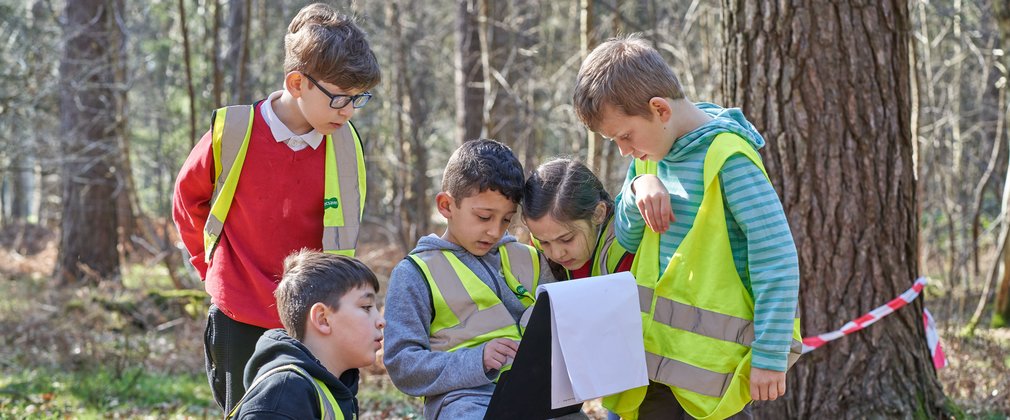 A group of five school children in the forest, wearing high-vis vests and looking at a clipboard