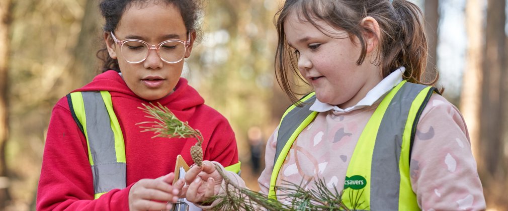 Two children examining a fir cone on a branch