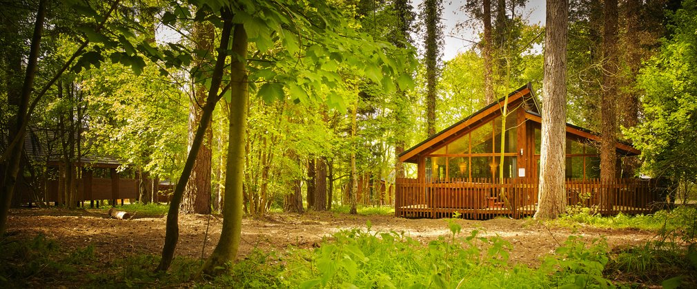 Forest Holidays cabins at Thorpe Forest