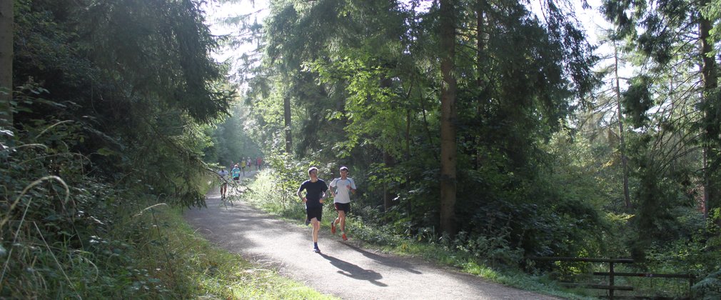 Wendover woods parkrun