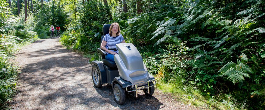 Trampers at Bedgebury 