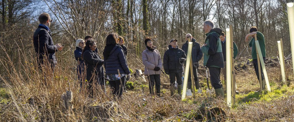 group of people learning about tree planting in a forest