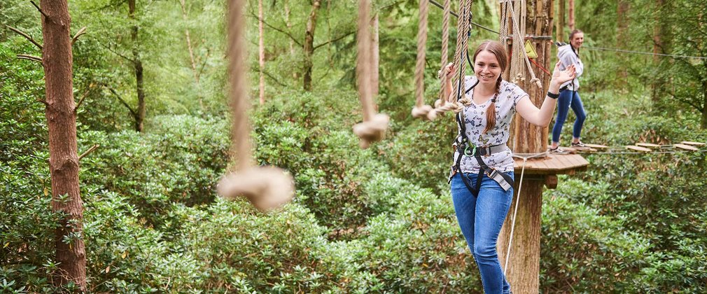 Go Ape tree top adventure crossing 