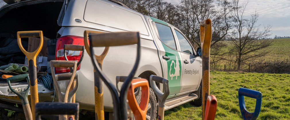 12 spades dug into the ground in front of a Forestry England branded vehicle