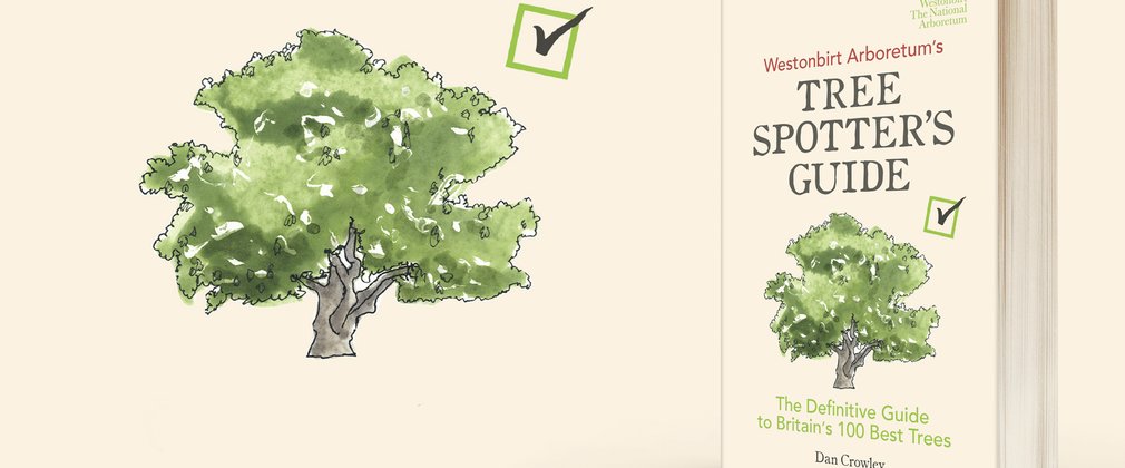 Tree spotters Guide