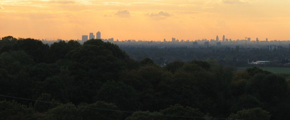 Orange sunset over distant London skyscrapers with dark trees in the foreground