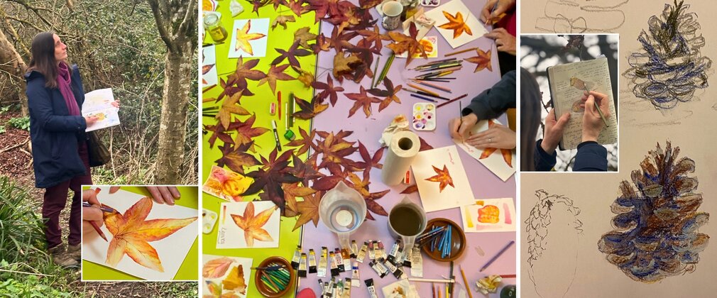 A montage of images with someone nature journaling with books and leaves