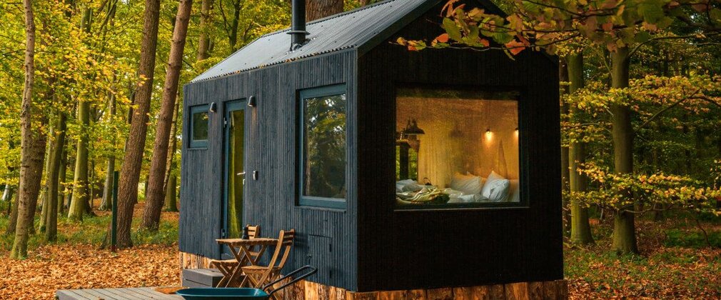 Unyoked off-grid cabin in an autumnal forest