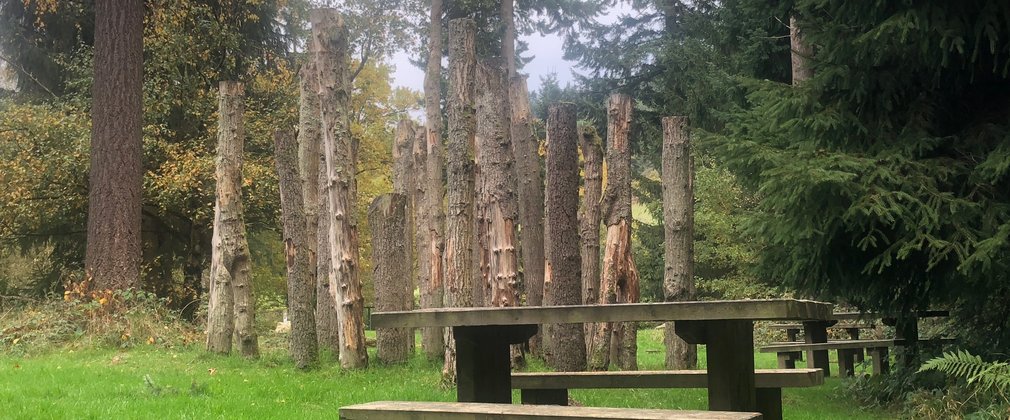 Mortimer Forest Vinnalls car park 
