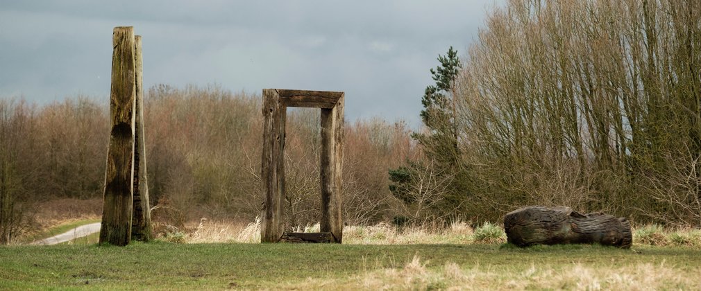 Wood sculptures at Viridor Wood