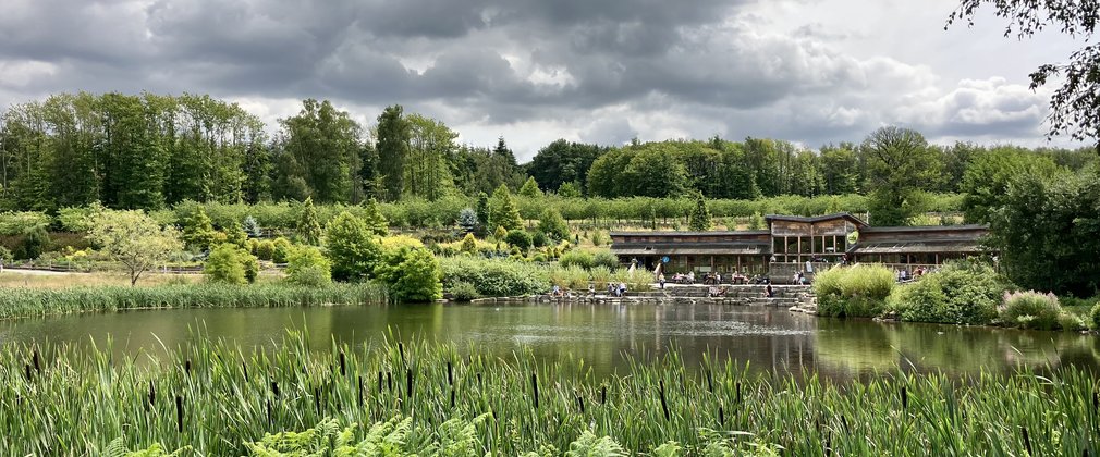 A view across the visitor centre and lake at Bedgebury Pinetum in Summer