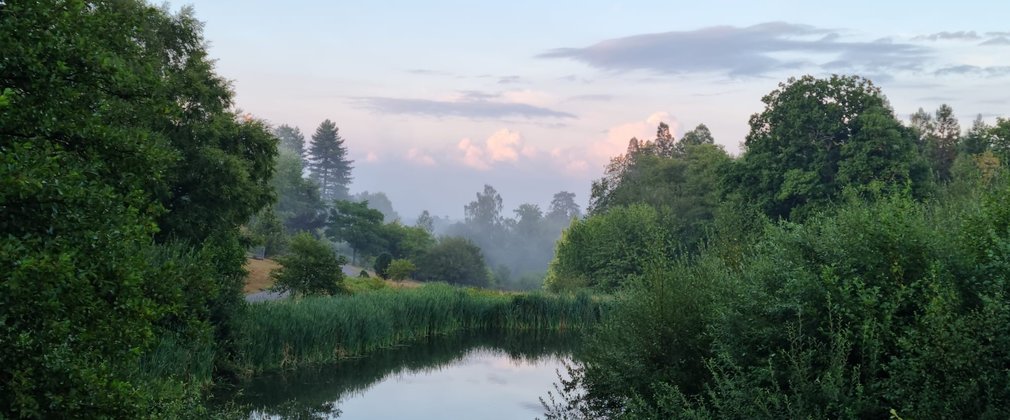 A view across a lake at sunrise with pink and blue skies at Bedgebury Pinetum 
