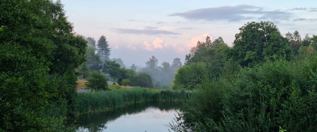 View across lake at Bedgebury Pinetum at sundown
