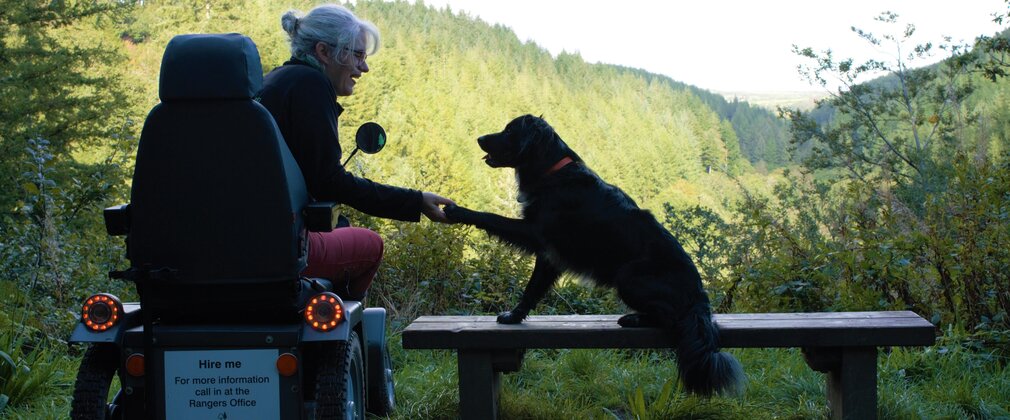 A woman on a mobility scooter shaking paws with a dog sat on a forest bench.