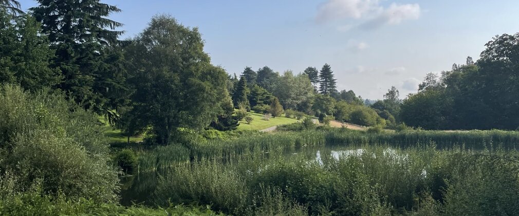 A view across a lake down a valley of trees and plants