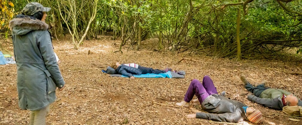 Forest Bathing at Wendover Woods 3