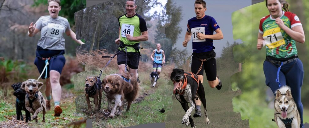 4 images of people running with their dogs side by side in a collage. 