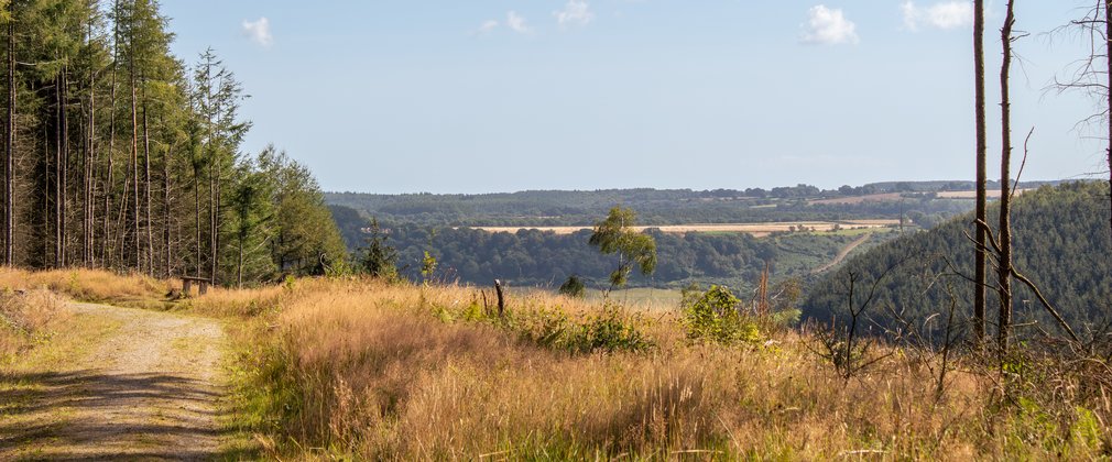A viewpoint of forest and arable land