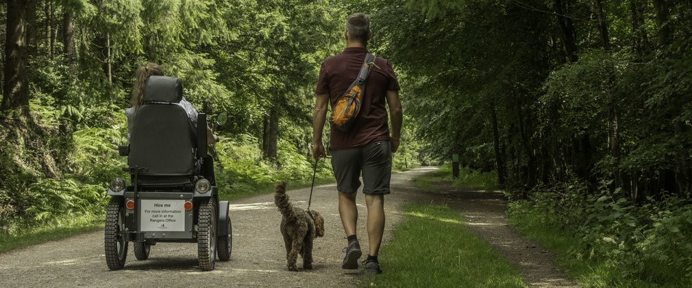 Walker and Tramper user with dog on a forest road