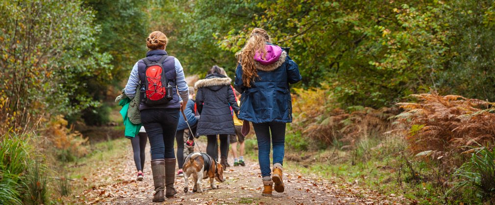 Walking family in an autumnal woodland