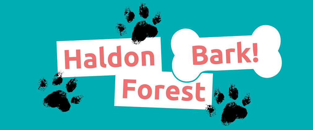 Event logo for Haldon Forest Bark