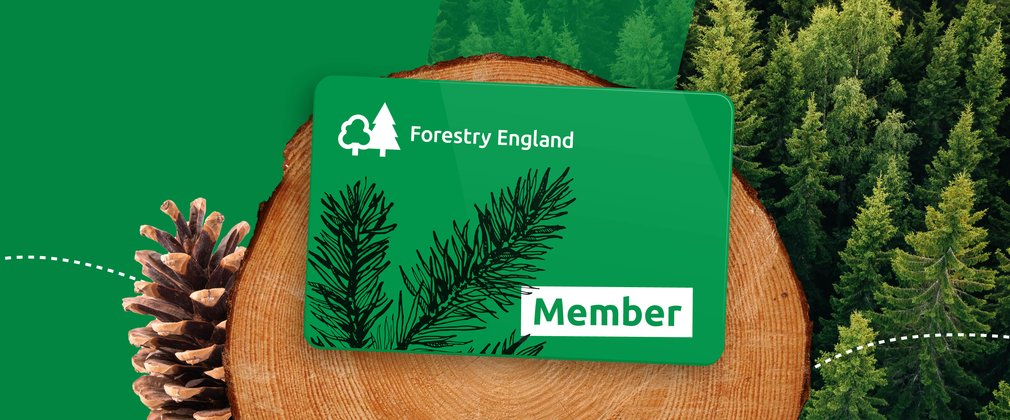 Forestry England Gift membership 