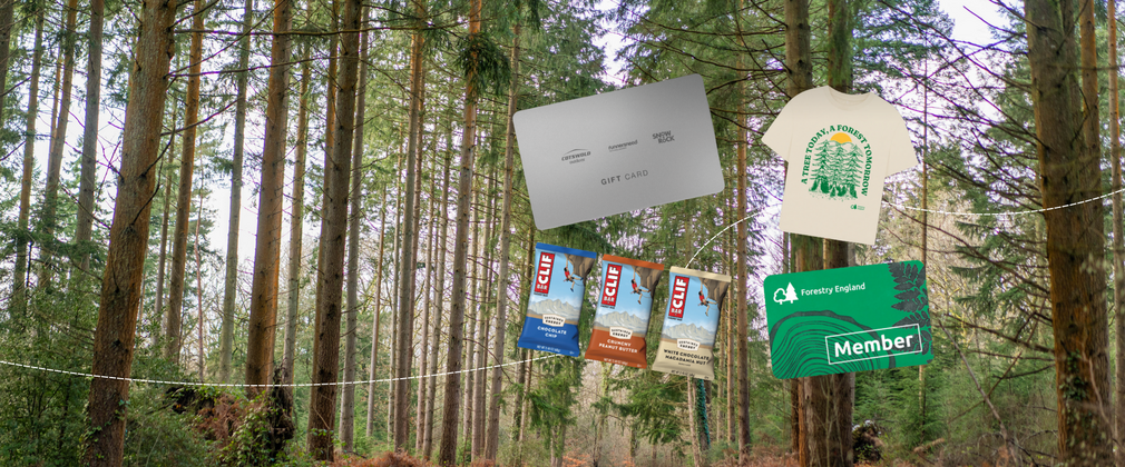 Forest background with Forestry England and Clif bar prizes shown