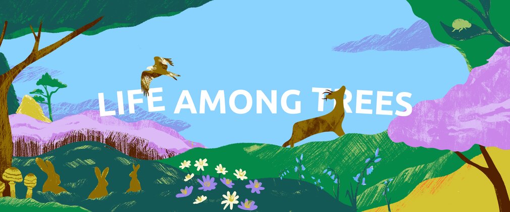 A cartoon illustration of a landscape of trees with a deer, eagle, rabbits, fungi and flowers. Wording says life among trees.