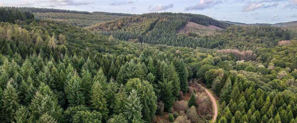 Aerial image of the Forest of Dean, showing a green forest with a road running through it