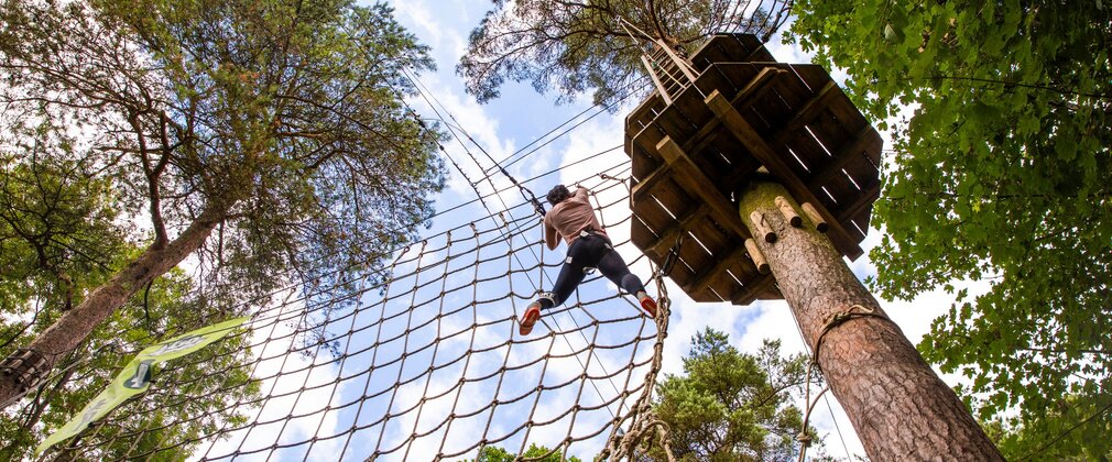 Go ape tree top adventure wendover woods 