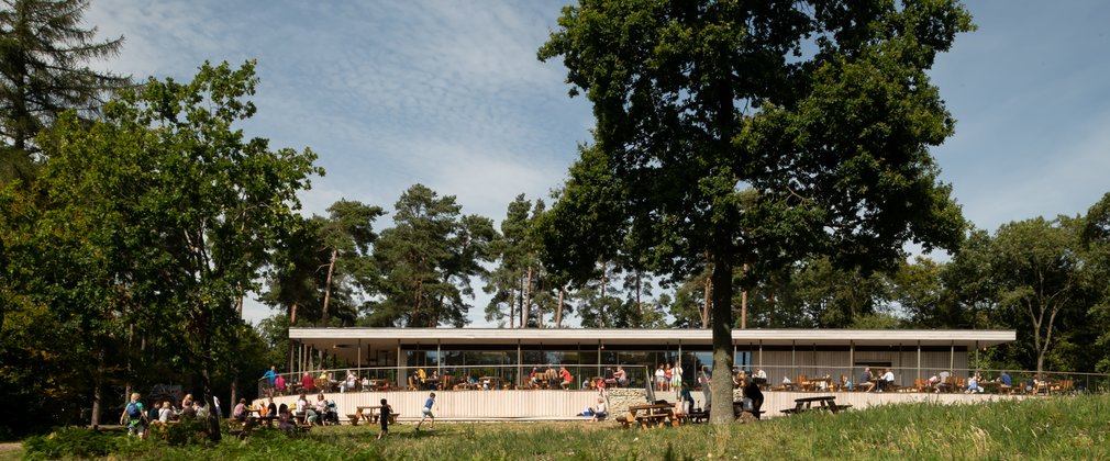 Wendover Woods visitor hub building external summer