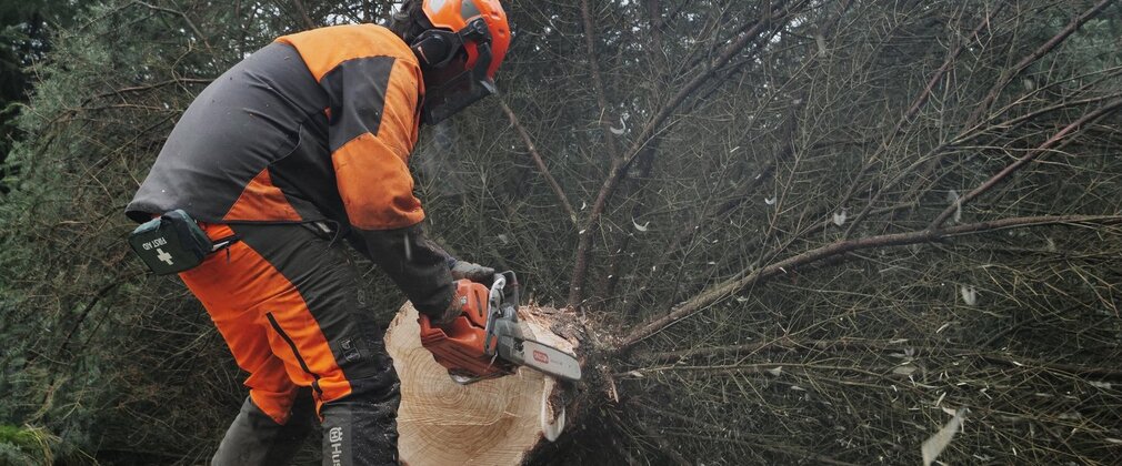 Person in protective clothing holding a chainsaw by a large felled tree.