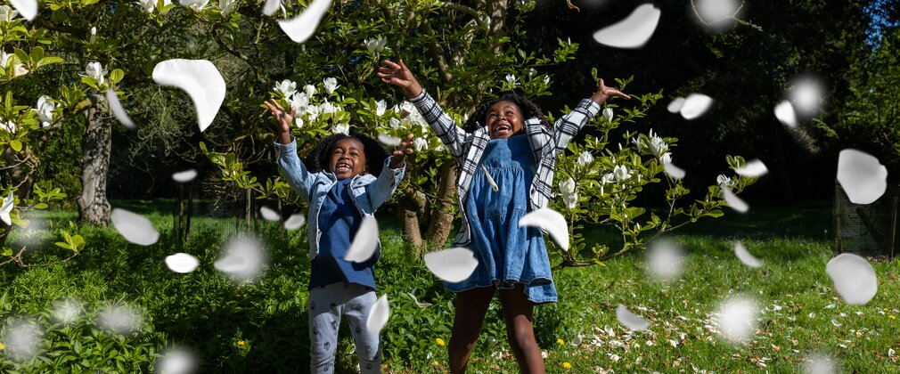 Kids in forests
