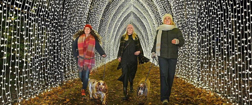 Three women walking two dogs through a tunnel of fairy lights