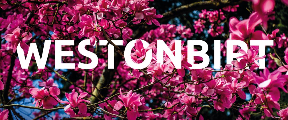 The word Westonbirt is written in white capital letters with bright pink magnolia flowers winding around the word
