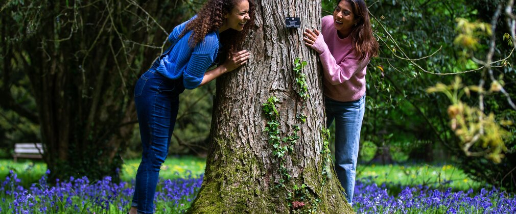 2 people hugging tree