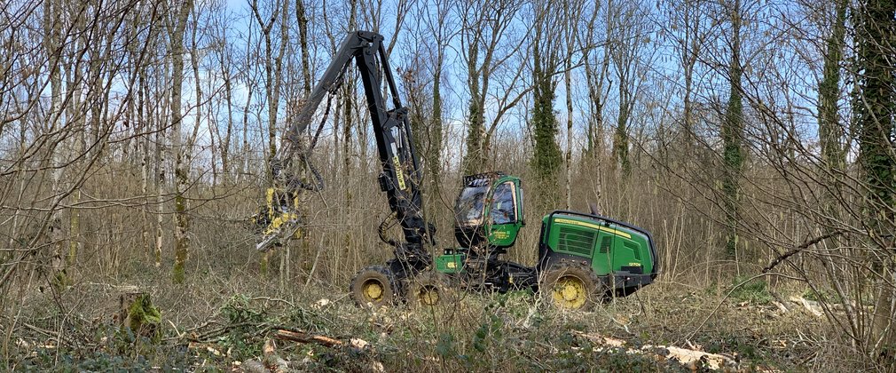Photo shows a tree harvester, a large green vehicle with a cab for the driver, set on track wheels, and a protruding arm with a grabber on the end for grabbing and cutting the trees. The harvester is within a woodland which is being clear felled.