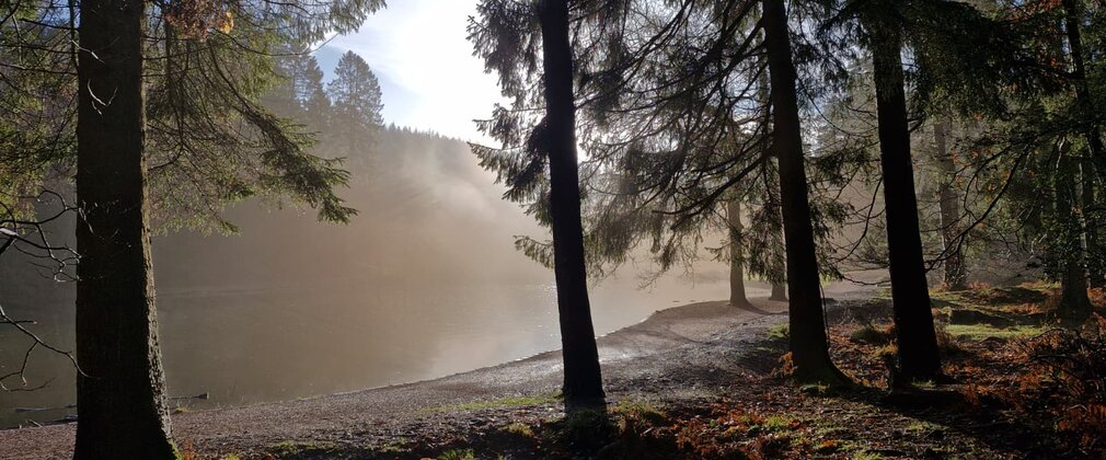 A misty morning at Mallards Pike looking out across the lake through some trees with the sun starting to shine through.