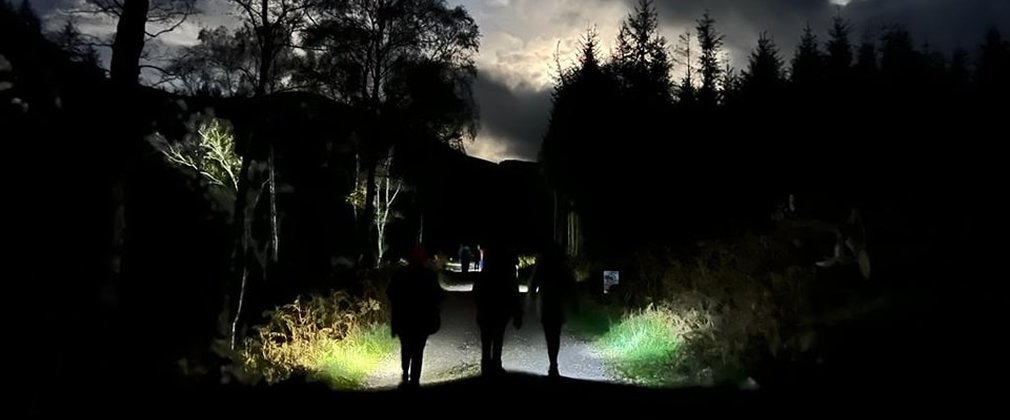 Three people walking along a forest road in the dark with torches