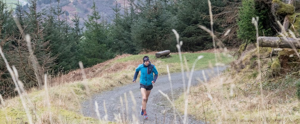 Whinlatter 5km running trail