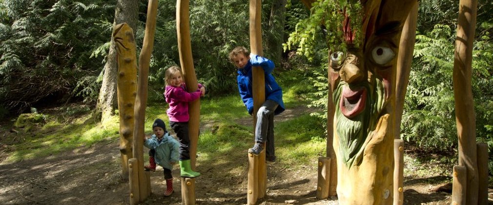 Whinlatter forest play area