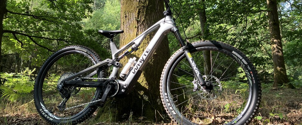 e-bike at a foot of a tree in the forest