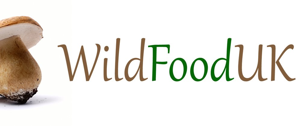 Wild Food UK logo
