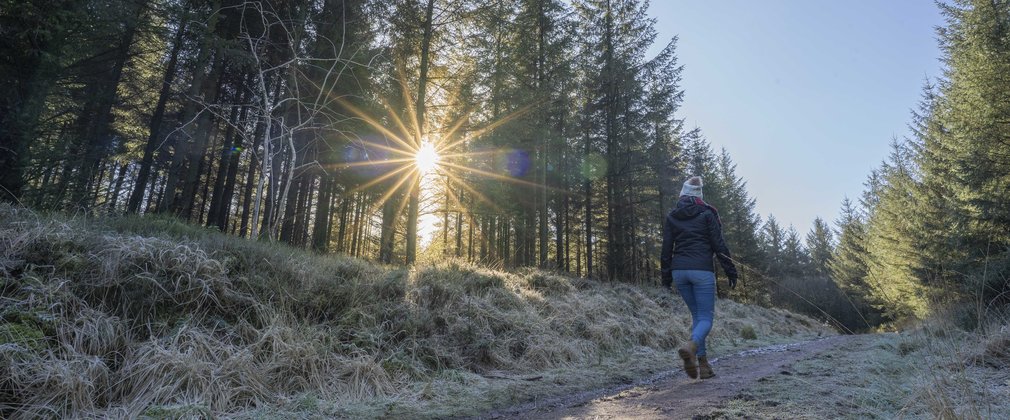 Woman walking on frosty forest path