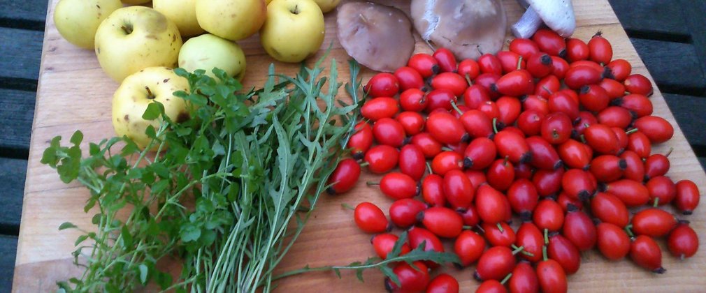 Winter forage food