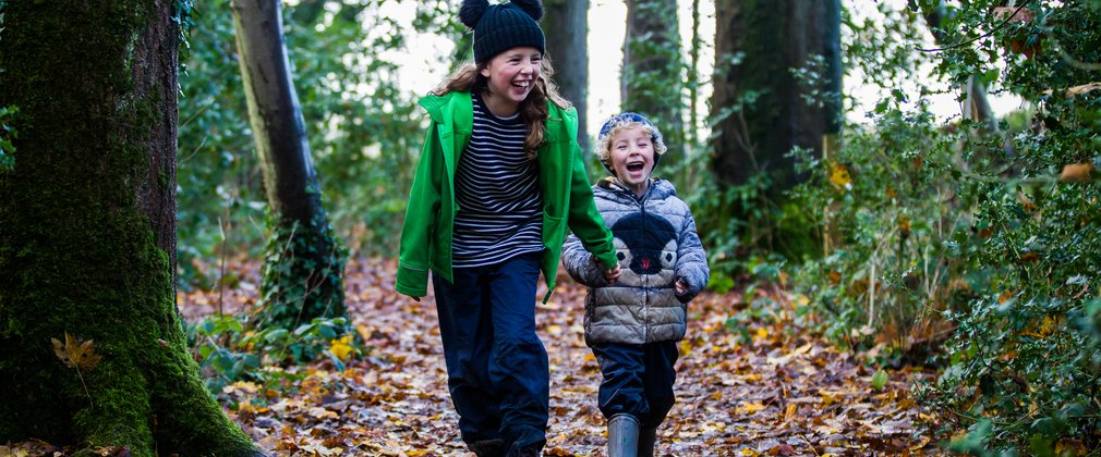 Winter Westonbirt
