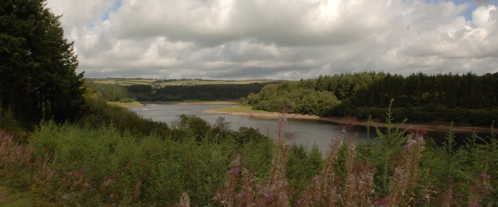 Wistlandpound reservoir from a distance 