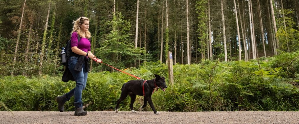 A woman walking a dog on a lead along a forest road, with tall trees in the background.