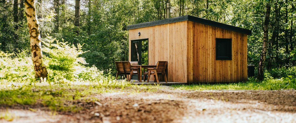A small, sleek wooden cabin amongst trees in the forest.
